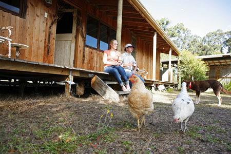 Lovedale Cottages Hunter Valley Luaran gambar